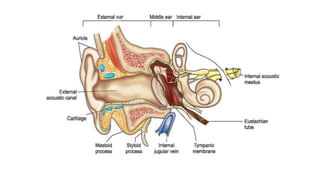 revesion of external and middle ear pathologies.pptx