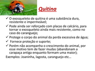 Quitina
 O exosqueleto de quitina é uma substância dura,
resistente e impermeável;
 Pode ainda ser reforçado com placas de calcário, para
tornar o exosqueleto ainda mais resistente, como no
caso do caranguejo;
 Protege o corpo do animal da perda excessiva de água;
 Fornece proteção e suporte;
 Porém não acompanha o crescimento do animal, por
esse motivo tem de fazer mudas (abandonam a
carapaça antiga enquanto formam uma maior);
Exemplos: Joaninha, lagosta, caranguejo etc…
 