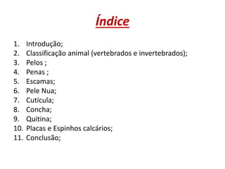 Índice
1. Introdução;
2. Classificação animal (vertebrados e invertebrados);
3. Pelos ;
4. Penas ;
5. Escamas;
6. Pele Nua;
7. Cutícula;
8. Concha;
9. Quitina;
10. Placas e Espinhos calcários;
11. Conclusão;
 