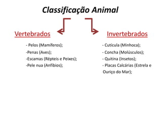 Classificação Animal
Vertebrados Invertebrados
- Pelos (Mamíferos); - Cutícula (Minhoca);
-Penas (Aves); - Concha (Molúsculos);
-Escamas (Répteis e Peixes); - Quitina (Insetos);
-Pele nua (Anfíbios); - Placas Calcárias (Estrela e
Ouriço do Mar);
 