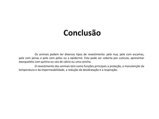 Conclusão
Os animais podem ter diversos tipos de revestimento: pele nua, pele com escamas,
pele com penas e pele com pelos ou a epiderme. Esta pode ser coberta por cutícula, apresentar
exosqueleto com quitina ou sais de cálcio ou uma concha.
O revestimento dos animais tem como funções principais a proteção, a manutenção da
temperatura e da impermeabilidade, a redução da desidratação e a respiração.
 