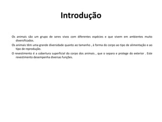 Introdução
Os animais são um grupo de seres vivos com diferentes espécies e que vivem em ambientes muito
diversificados.
Os animais têm uma grande diversidade quanto ao tamanho , à forma do corpo ao tipo de alimentação e ao
tipo de reprodução.
O revestimento é a cobertura superficial do corpo dos animais , que o separa e protege do exterior . Este
revestimento desempenha diversas funções.
 