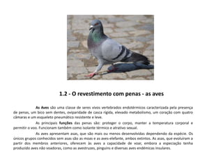 1.2 - O revestimento com penas - as aves
As Aves são uma classe de seres vivos vertebrados endotérmicos caracterizada pela presença
de penas, um bico sem dentes, oviparidade de casca rígida, elevado metabolismo, um coração com quatro
câmaras e um esqueleto pneumático resistente e leve.
As principais funções das penas são: proteger o corpo, manter a temperatura corporal e
permitir o voo. Funcionam também como isolante térmico e atrativo sexual.
As aves apresentam asas, que são mais ou menos desenvolvidas dependendo da espécie. Os
únicos grupos conhecidos sem asas são as moas e as aves-elefante, ambos extintos. As asas, que evoluíram a
partir dos membros anteriores, oferecem às aves a capacidade de voar, embora a especiação tenha
produzido aves não voadoras, como as avestruzes, pinguins e diversas aves endémicas insulares.
 