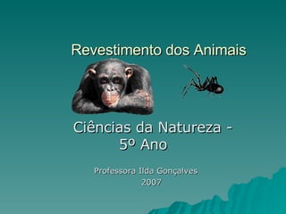 Revestimento dos Animais   Ciências da Natureza - 5º Ano Professora Ilda Gonçalves  2007 