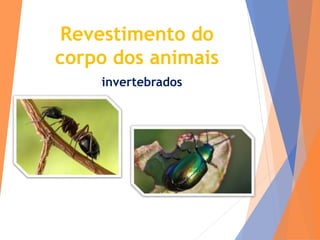 Revestimento do
corpo dos animais
invertebrados
 