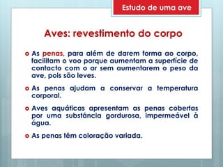 Aves: revestimento do corpo
 As penas, para além de darem forma ao corpo,
facilitam o voo porque aumentam a superfície de
contacto com o ar sem aumentarem o peso da
ave, pois são leves.
 As penas ajudam a conservar a temperatura
corporal.
 Aves aquáticas apresentam as penas cobertas
por uma substância gordurosa, impermeável à
água.
 As penas têm coloração variada.
Estudo de uma ave
 