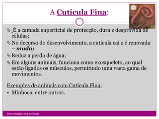 Revestimento Do Corpo Dos Animais | PPTX