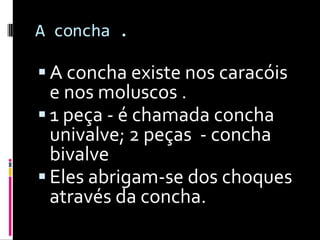 A concha .A concha existe nos caracóis e nos moluscos . 1 peça - é chamada concha univalve; 2 peças  - concha bivalveEles abrigam-se dos choques através da concha. 