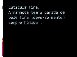 Cutícula fina.A minhoca tem a camada de pele fina .deve-se manter sempre húmida .