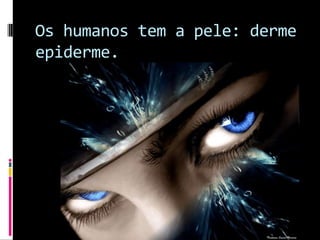 Os humanos tem a pele: derme epiderme.  