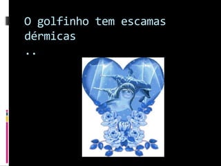 O golfinho tem escamas dérmicas ..