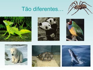 Tão diferentes…
 