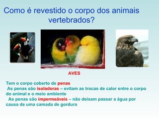 Como é revestido o corpo dos animais
           vertebrados?




                            AVES

Tem o corpo coberto de penas
As penas são isoladoras – evitam as trocas de calor entre o corpo
do animal e o meio ambiente
 As penas são impermeáveis – não deixam passar a água por
causa de uma camada de gordura
 