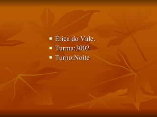 Érica do Vale. Turma:3002 Turno:Noite 