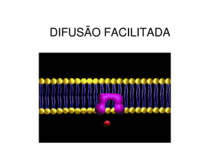 DIFUSÃO FACILITADA
 