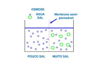 OSMOSE
ÁGUA
SAL
Membrana semi-
permeável
POUCO SAL MUITO SAL
 