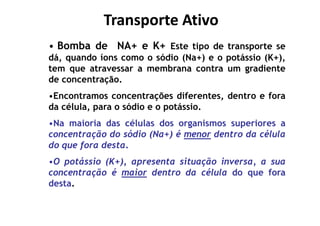Transporte AtivoTransporte Ativo
• Bomba de NA+ e K+ Este tipo de transporte se
dá, quando íons como o sódio (Na+) e o potássio (K+),
tem que atravessar a membrana contra um gradiente
de concentração.
•Encontramos concentrações diferentes, dentro e fora
da célula, para o sódio e o potássio.
•Na maioria das células dos organismos superiores a
concentração do sódio (Na+) é menor dentro da célula
do que fora desta.
•O potássio (K+), apresenta situação inversa, a sua
concentração é maior dentro da célula do que fora
desta.
 