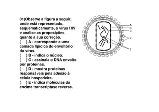 01)Observe a figura a seguir,
onde está representado,
esquematicamente, o vírus HIV
e analise as proposições
quanto à sua correção.
( ) A - corresponde a uma
camada lipídica do envoltório
do vírus.
( ) B - indica o núcleo.( ) B - indica o núcleo.
( ) C - assinala o DNA envolto
por proteínas.
( ) D - mostra proteínas
responsáveis pela adesão à
célula hospedeira.
( ) E - indica moléculas da
enzima transcriptase reversa.
 