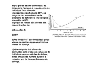 11) O gráfico abaixo demonstra, no
organismo humano, a relação entre os
linfócitos T e o vírus da
imunodeficiência humana (HIV), ao
longo de dez anos de curso da
síndrome da deficiência imunológica
adquirida (AIDS).
Explique as razões das quedas das
concentrações de:
a) linfócitos T;
b) HIV.
a) Os linfócitos T são infectados pelos
vírus e destruídos após os primeiros
meses da doença.
b) Grande parte dos vírus são
destruídos pela produção e atuação de
linfócitos e outras células de defesa,
ainda em grande número durante o
primeiro ano de desenvolvimento da
doença.
 