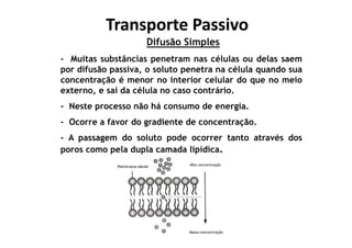 Transporte PassivoTransporte Passivo
Difusão Simples
- Muitas substâncias penetram nas células ou delas saem
por difusão passiva, o soluto penetra na célula quando sua
concentração é menor no interior celular do que no meio
externo, e sai da célula no caso contrário.
- Neste processo não há consumo de energia.
- Ocorre a favor do gradiente de concentração.
- A passagem do soluto pode ocorrer tanto através dos
poros como pela dupla camada lipídica.
 