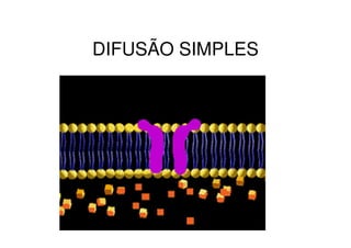 DIFUSÃO SIMPLES
 