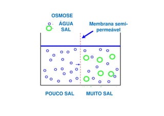 OSMOSE
ÁGUA
SAL
POUCO SAL MUITO SAL
Membrana semi-
permeável
 