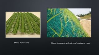 Manto Permanente Manto Permanente utilizado en el talud de un canal
 