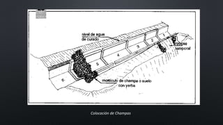 Colocación de Champas
 