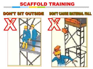 scaffold