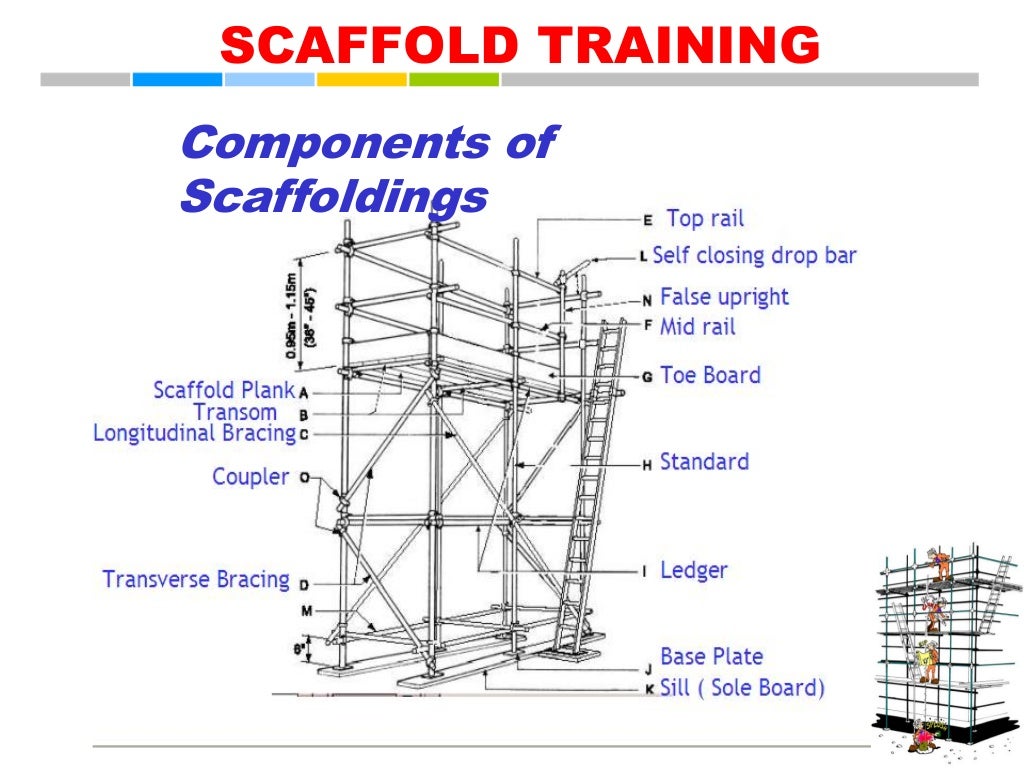 Eta Scaffold Training