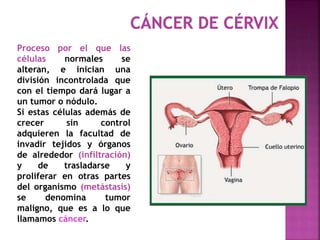 Proceso por el que las
células normales se
alteran, e inician una
división incontrolada que
con el tiempo dará lugar a
un tumor o nódulo.
Si estas células además de
crecer sin control
adquieren la facultad de
invadir tejidos y órganos
de alrededor (infiltración)
y de trasladarse y
proliferar en otras partes
del organismo (metástasis)
se denomina tumor
maligno, que es a lo que
llamamos cáncer.
 