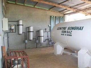 Songhai Integrated system


               Crop
               Production



              Bioenergy


Aquaculture        ...