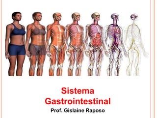 Sistema
Gastrointestinal
Prof. Gislaine Raposo
 