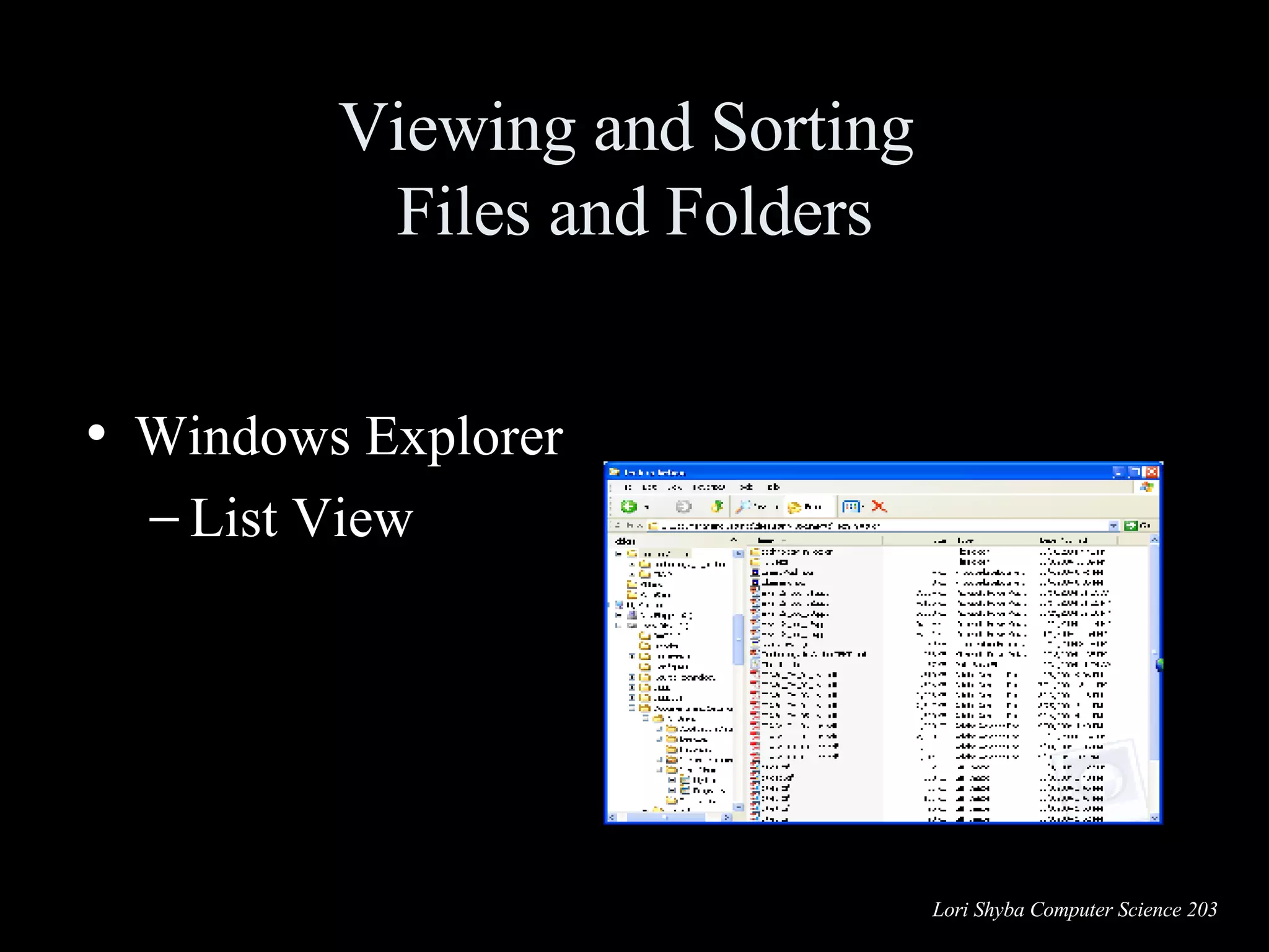 Viewing and Sorting  Files and Folders Windows Explorer   List View 