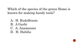 Which of the species of the genus Homo is
known for making handy tools?
A. H. Rudolfensis
B. A Garhi
C. A. Anamensis
D. H. Habilis
 