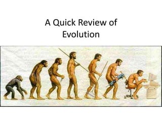 A Quick Review ofEvolution 