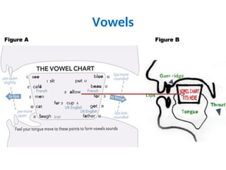 REVIEW- PHONETIC SYMBOLS LEARN in superior level | PPT