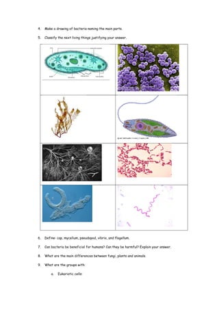 4. Make a drawing of bacteria naming the main parts.
5. Classify the next living things justifying your answer.
6. Define: cap, mycelium, pseudopod, vibrio, and flagellum.
7. Can bacteria be beneficial for humans? Can they be harmful? Explain your answer.
8. What are the main differences between fungi, plants and animals.
9. What are the groups with:
a. Eukariotic cells:
 