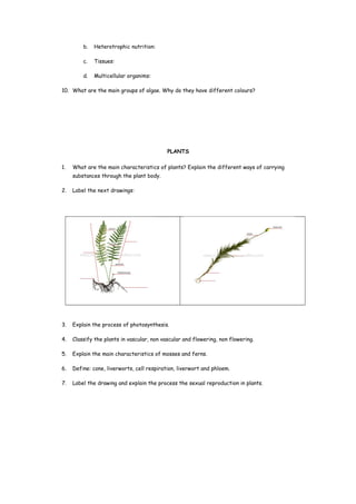 b. Heterotrophic nutrition:
c. Tissues:
d. Multicellular organims:
10. What are the main groups of algae. Why do they have different colours?
PLANTS
1. What are the main characteristics of plants? Explain the different ways of carrying
substances through the plant body.
2. Label the next drawings:
3. Explain the process of photosynthesis.
4. Classify the plants in vascular, non vascular and flowering, non flowering.
5. Explain the main characteristics of mosses and ferns.
6. Define: cone, liverworts, cell respiration, liverwort and phloem.
7. Label the drawing and explain the process the sexual reproduction in plants.
 