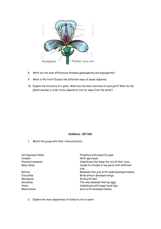 8. What are the main differences between gymnosperms and angiosperms?
9. What is the fruit? Explain the different ways of seeds dispersal.
10. Explain the structure of a plant. What are the main functions of each part? What do the
plants develop in order to be adapted to live far away from the water?
ANIMALS. RETAKE.
1. Match the group with their characteristics:
Cartilaginous fishes Predators with powerful jaws.
Urodela With operculum
Placental mammals Amphibians that keep the tail all their lives.
Bony fishes Caudal fin divided in two parts with different
size.
Ratites Mammals that give birth underdeveloped babies.
Crocodiles Birds wthout developed wings.
Marsupials Birds with keel.
Carenatae The only mammals that lay eggs.
Anura Amphibians with longer back legs.
Monotremes Give birth developed babies.
2. Explain the main adaptations of fishes to live in water.
 