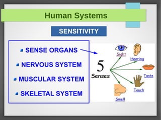 Human Systems
SENSITIVITY
SENSE ORGANS
NERVOUS SYSTEM
MUSCULAR SYSTEM
SKELETAL SYSTEM
 