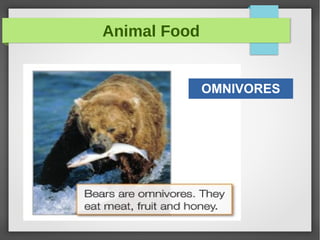 Animal Food
OMNIVORES
 
