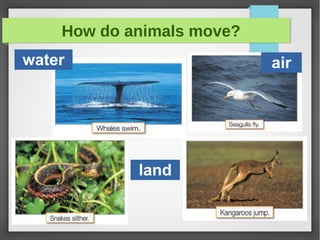 How do animals move?
air
land
water
 