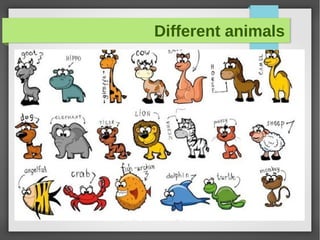 Different animals
 