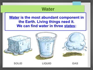 Water
Water is the most abundant component in
the Earth. Living things need it.
We can find water in three states:
 