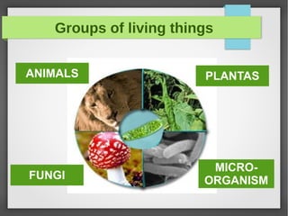 Groups of living things
PLANTASANIMALS
FUNGI
MICRO-
ORGANISM
 