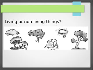 Living or non living things?
 