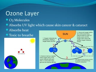 Ozone Layer
O3 Molecules
Absorbs UV light which cause skin cancer & cataract
Absorbs heat
Toxic to breathe

 