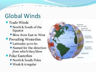 Global Winds
Trade Winds
North & South of the
Equator
Blow from East to West
Prevailing Westerlies
Latitudes 30 to 60
Named for the direction
from which they blow
Polar Easterlies
North & South Poles
Weak & irregular

 