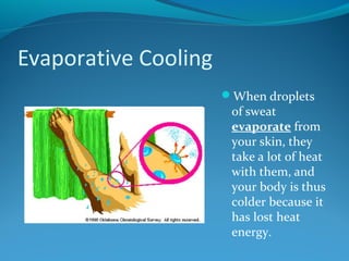 Evaporative Cooling
When droplets

of sweat
evaporate from
your skin, they
take a lot of heat
with them, and
your body is thus
colder because it
has lost heat
energy.

 